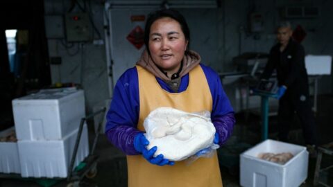 中国人のフォアグラ熱が沸騰…一攫千金を狙う農家が大幅増産､世界首位のフランスを追い抜く勢いに | 政治・経済・投資 | 東洋経済オンライン