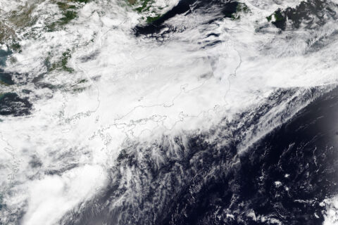 西日本豪雨から8年。今、改めて見直したい豪雨への備え
