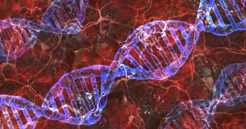 遺伝子レベルで“ヒ素耐性”を獲得したアンデス住民の謎！ 人類は今も絶賛進化中だった