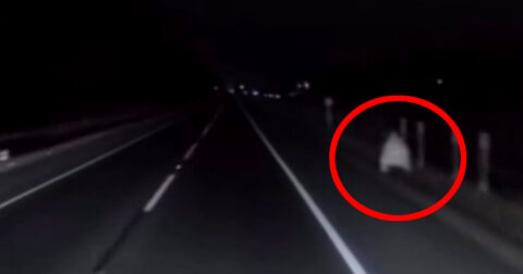 チリの高速道路に“上半身だけの”女幽霊が出現！ 戦慄のドライブレコーダー映像