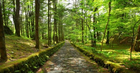 なぜ軽井沢に海外富裕層が殺到し始めたのか？ カギは「新町民」だった – 日本人の9割は知らない 世界の富裕層は日本で何を食べているのか？