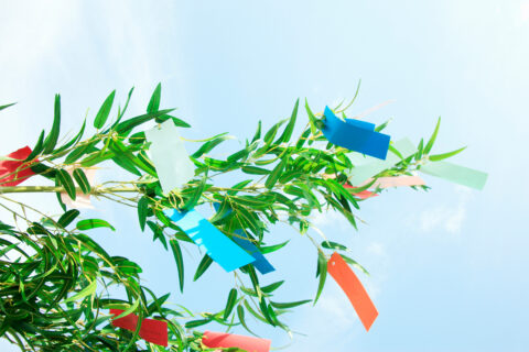 旧暦七月七日に降る「洒涙雨（さいるいう）」。織姫と彦星の再会に祈りを