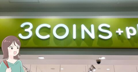 米袋を入れてもやぶれない！3COINSの“10kg入るエコバッグ”手のひらサイズで持ち歩きしやすい！「家族にもおすすめしてリピート購入」「薄くて軽くて超コンパクト」【購入レビュー】 – これ、買ってよかった！