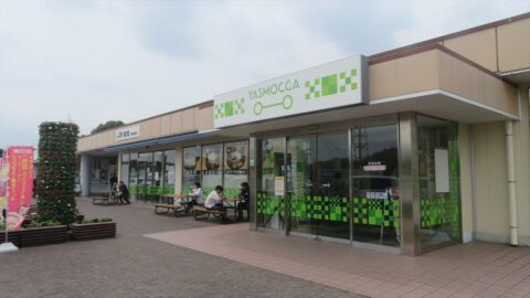 ｢ポケモン｣コラボをNEXCO3社が合同で実施！ 道路･鉄道･航空…と交通系企業が続々とポケモンを活用する理由 | ライフ | 東洋経済オンライン