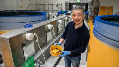 浜名湖でも鹿児島でもなく”下呂温泉”でうなぎ養殖､｢脂がのって軽い口当たり､しかも安い｣を生んだ驚きの背景 | ビジネス | 東洋経済オンライン