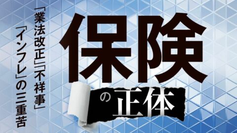 保険選びの決定版！ 生保28社の社員による｢他社のお薦め保険｣を集計！医療､がん､収入保障､円建て終身の首位は？ | ビジネス | 東洋経済オンライン