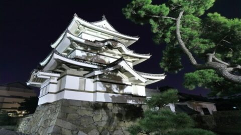 ｢まさか信長が死ぬなんて｣ “本能寺の変”発生で家臣は大混乱も､信長に抱いていた《正直な印象》 | キャリア・教育 | 東洋経済オンライン