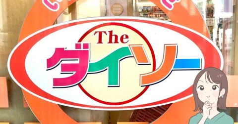 お薬手帳や診察券40枚がまるっと入る！ダイソーの「ぺたんこポーチ」色違いで3つも買っちゃった！【購入レビュー】 – これ、買ってよかった！