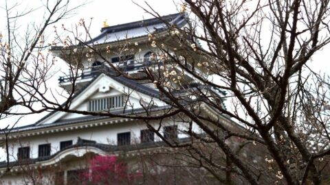 ｢大河ではあんなにお調子者なのに…｣ドラマではまだ描かれていない《豊臣秀吉》の”あまりに残虐すぎる”一面 | キャリア・教育 | 東洋経済オンライン