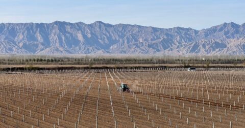 1本10万円！ なぜ「中国の砂漠地帯」が、世界屈指の高級ワイン産地に変貌したのか？ – ワインの世界地図