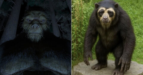 アルゼンチンの密林で獣人UMA「ウクマール」を仕留めた!? 診察室で明かされた禁断の記憶