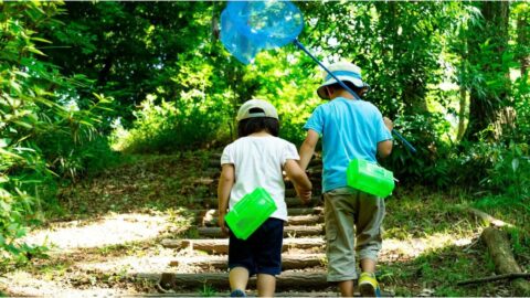 ｢虫取りも里山遊びもしたことがない｣子どもの親に伝えたい”リアルな自然体験”が《その後に与えた影響》 | キャリア・教育 | 東洋経済オンライン