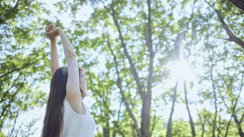 森にいるだけで免疫が強化される…？　｢森林浴｣がもたらす驚異的な効果　｢抗がんタンパク質｣が48％増加した例も | ライフ | 東洋経済オンライン