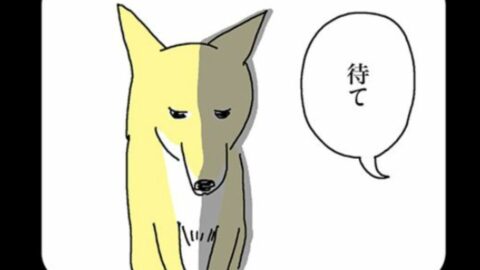 ｢もう2度と野良に戻せない！｣超豪華エサを目にした”元保護犬”の意外すぎる反応…漫画『姉の犬から目が離せない』第3話 | ライフ | 東洋経済オンライン