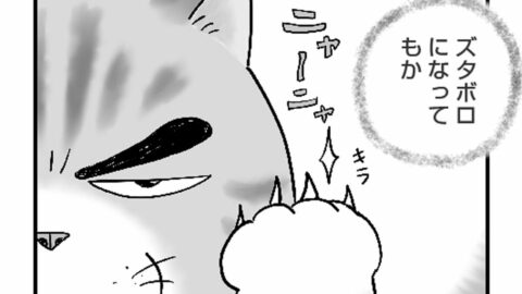 いつも大騒ぎ｢ネコの爪切り｣が無事に終わるまでの意外な顛末　漫画｢ひろみ猫シッターサービス｣（第9話） | ライフ | 東洋経済オンライン