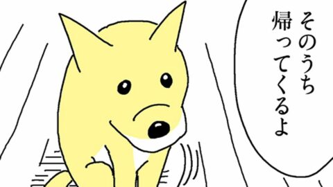 思わず感涙…｢私に懐かない犬｣がふと見せていた､あまりに温かすぎる反応　漫画『姉の犬から目が離せない』第4話 | ライフ | 東洋経済オンライン