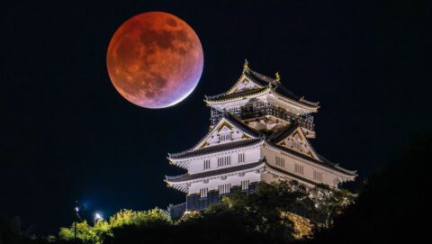 “本能寺の変”直後あんなに近くにいたのに！秀吉でも､柴田勝家でもない《天下に最も近かった男》の正体 | キャリア・教育 | 東洋経済オンライン