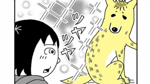 モフりたい…｢素直じゃない妹｣が”ため息ばかりのワケあり犬”にはじめて触れた日　漫画『姉の犬から目が離せない』第5話 | ライフ | 東洋経済オンライン