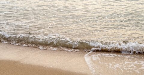 透明度が「低い」海水浴場ランキング2026【ワースト3】残念な1位は？ – 注目ランキング