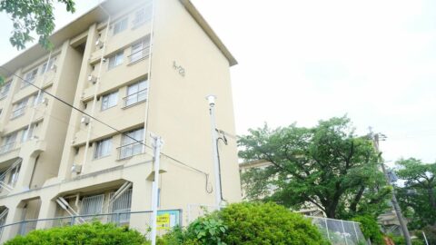 一見､昭和の団地だが…《2戸を1つにした”90㎡の大空間”》に驚愕　まるで注文住宅のような｢ニコイチ｣の”素敵すぎる室内” | ライフ | 東洋経済オンライン