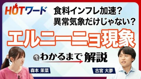 【異常気象で家計にも影響】｢エルニーニョ現象｣ってそもそも何？／砂糖・コーヒー・小麦が不作で高騰？／最大20%の食料インフレ／原油高とエネルギー不足でさらなる打撃／対応策はあるか | ビジネス | 東洋経済オンライン