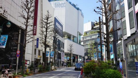 ｢戦後､再開発が頓挫した｣｢かつては細木数子も働いていた｣…歴史に翻弄された街･渋谷の豊かな文化 | ライフ | 東洋経済オンライン