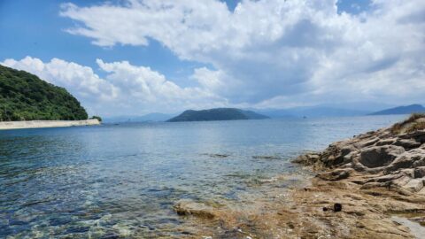 夏の帰省で実感する”愛するものたちの老い”　サワガニの唐揚げ､花火､海水浴…55歳漫画家が感じた”切なさ”の行方 | ライフ | 東洋経済オンライン