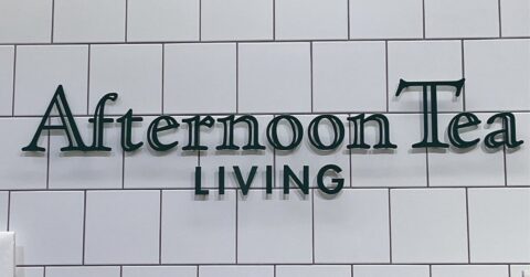 買ってから毎日持ち歩いてる！アフタヌーンティーの「ペタンコになるリュック」が画期的なデザインで感動…！《購入レビュー》 – これ、買ってよかった！