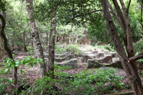 なぜこの島は｢地図から消された｣のか…年間20万人が訪れる広島｢うさぎの島｣に眠る､廃墟と毒ガス製造16年の爪痕 | ライフ | 東洋経済オンライン