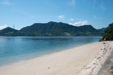 年間20万人が押し寄せる｢うさぎの島｣なのになぜ地元は潤わないのか…”素通り”から”滞在”へ､廃墟の島と玄関口の挑戦 | ライフ | 東洋経済オンライン