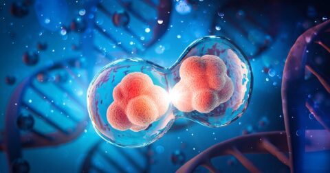 人間の寿命の生物学的限界値は“約190年”だった！ しかし627年まで延ばす禁断の手法も…！