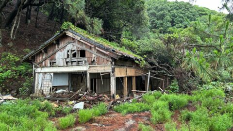 廃墟だらけの｢ラピュタの島｣はかつて年間10万人が訪れた《リゾート地》だった…なぜ衰退し､再び人気になったのか | ライフ | 東洋経済オンライン