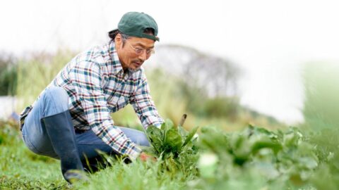 ｢田舎への移住｣や｢会社を辞めて海外留学｣エイヤーと思い切る前に試すべき､自分の”無意識の本音”を確認する方法 | ライフ | 東洋経済オンライン