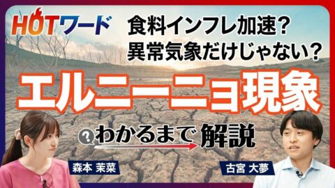 【食料品のさらなる高騰も？】｢エルニーニョ現象｣って何？／原油高と異常気象のダブルパンチ／最大20％の食料インフレ／インドは砂糖輸出を制限／コーヒー豆が高騰／電力不足で工場にも影響／日本の対応策は？ | ビジネス | 東洋経済オンライン