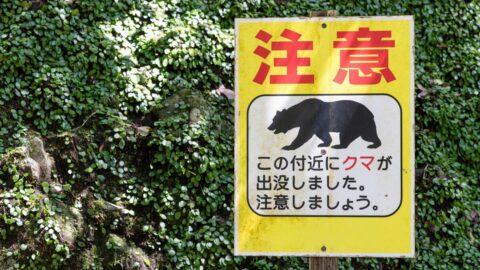 《クマ被害》都内の山中でも相次ぐ負傷者…低山登山で最大のリスクはクマ！｢まさか｣と思っている人ほど危ない | ライフ | 東洋経済オンライン