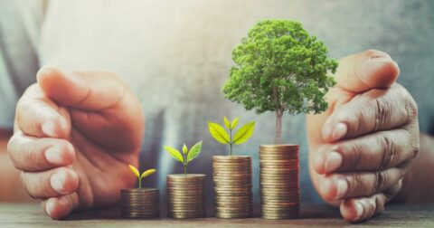 “手堅い割安株”を買ったバフェットが、それでも損をしたワケ – ウォーレン・バフェットはこうして最初の1億ドルを稼いだ