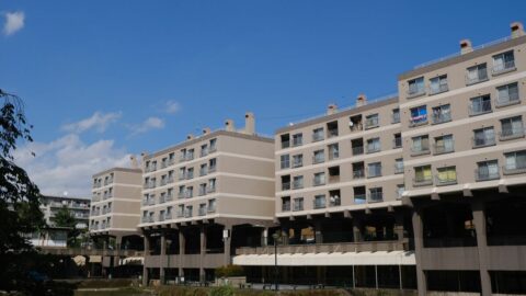 団地の中に”巨大な人工池”をつくる…横浜にある築55年の《竹山団地》あまりにフシギすぎる成り立ちに迫った | ライフ | 東洋経済オンライン
