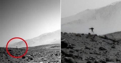火星人かUFOか、NASA探査機が撮影したクラゲ型物体をめぐる議論が再燃中！