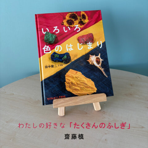《通巻500号記念》わたしの好きな「たくさんのふしぎ」／齋藤槙