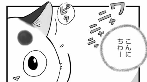おじいさんを困らせる｢困った子猫｣ 連日の問題行動の裏にあった”切実な事情” 漫画｢ひろみ猫シッターサービス｣（第10話） | ライフ | 東洋経済オンライン