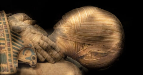 古代の毒物や微生物が“呪い”となって襲いかかる！ ミイラ取引の急増がもたらす深刻なリスク