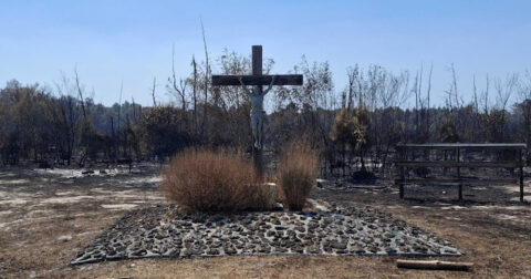 焼け野原に残ったキリスト像に騒然！ フランスの山火事で起きた“神の奇跡”、教会の見解は？