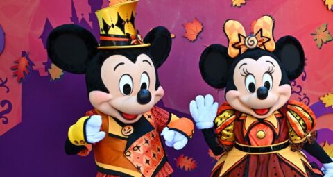 東京ディズニーの舞台ウラ…嘔吐物や鳥の死骸も処理するお掃除キャスト、衝撃の時給とは？ – 東京ディズニーの「光と影」