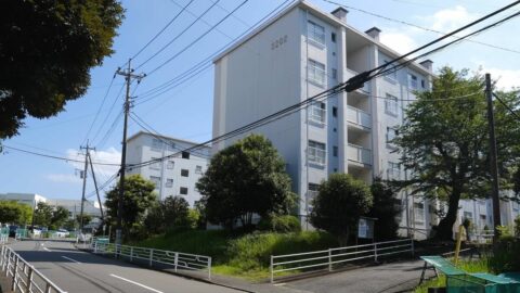 横浜の築55年｢巨大な人工池がある団地｣の中に”学生寮”をつくる→《高齢化社会を解決するヒント》がそこにはあった | ライフ | 東洋経済オンライン
