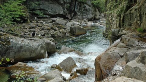 遭難したら｢沢に下りるな｣が常識…なのに沢に下りたくなるのはなぜ？ 道迷い遭難は”心の弱さ”が関係していた | ライフ | 東洋経済オンライン