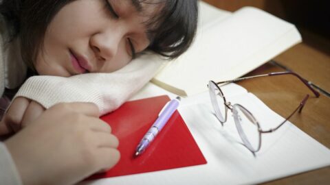 ｢いつも寝てばっかり!｣と勉強しない子どもを叱る前に知っておきたい”学習効果を上げる”正しい《睡眠の活用法》 | キャリア・教育 | 東洋経済オンライン