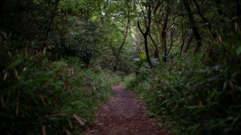 ｢15時過ぎたらもう暗い…｣秋冬の低山で”行動遅れ”が招く遭難 山に入るなら｢せめてこれだけは｣の必須装備とは | ライフ | 東洋経済オンライン