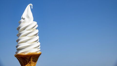 寒くても喰らう！東北SA｢ソフトクリーム沼｣の誘惑を｢ソフトクリームコレクション2026｣に見た | ライフ | 東洋経済オンライン