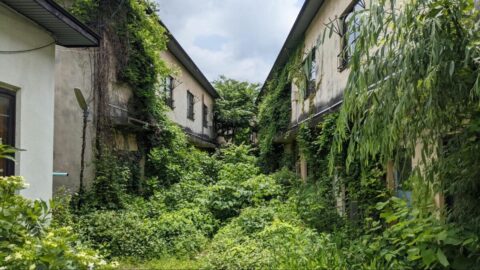 廃墟だった温泉旅館の《社員寮》をDIY…｢壊したら二度と作れない｣と東大生が解体を止めた”奇妙な路地裏”の今 | ライフ | 東洋経済オンライン