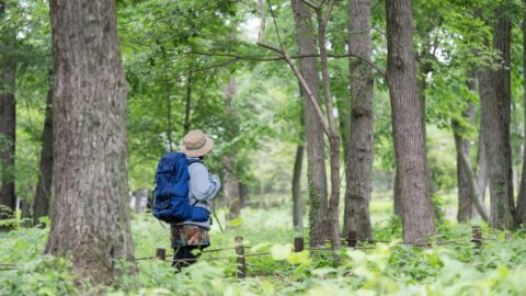 なぜ｢頂上を踏まない登山｣がこれほど面白いのか？気軽に”歩く”を楽しむ｢フラット登山｣のススメ | ライフ | 東洋経済オンライン